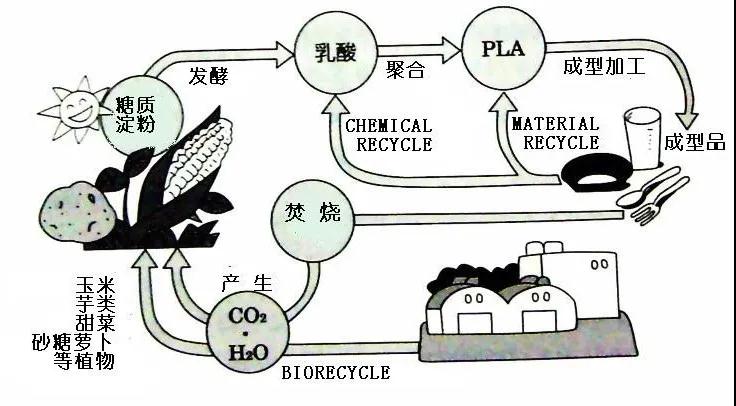 可生物降解環(huán)保塑料可以回收再利用嗎？(圖4)