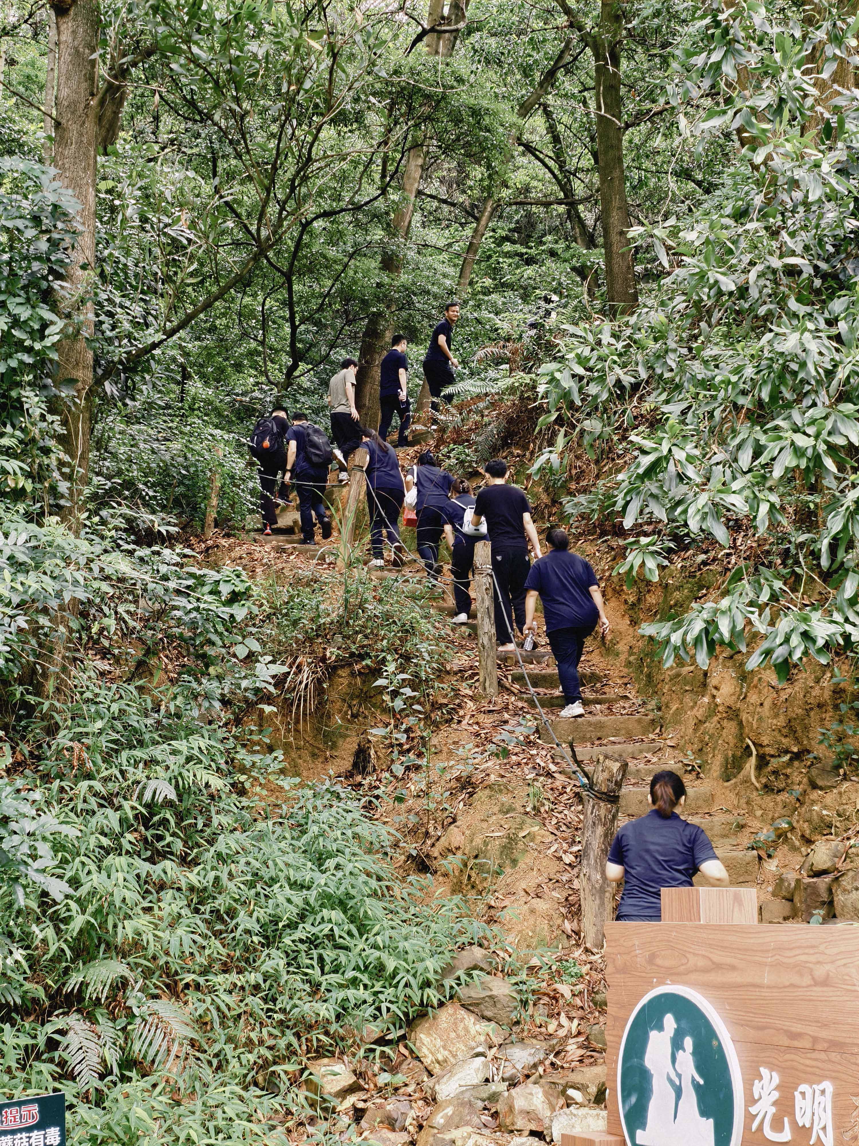 久信達科技公司員工齊聚光明區(qū)蠄蜍石，開啟活力爬山之旅暨團建活動(圖2)