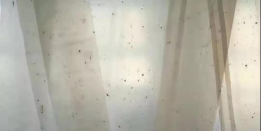 PBAT膜袋有黑點(diǎn)是什么原因？(圖1)